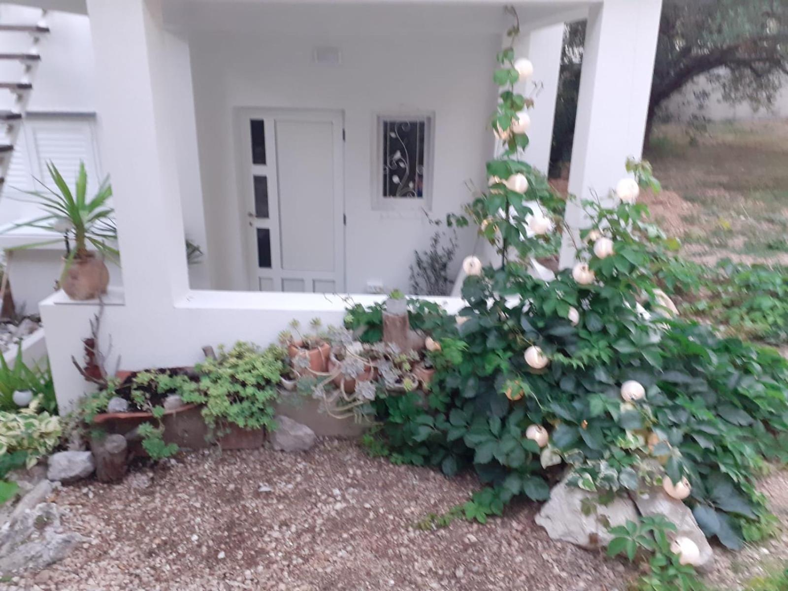 Villa Ana Makarska Cameră foto